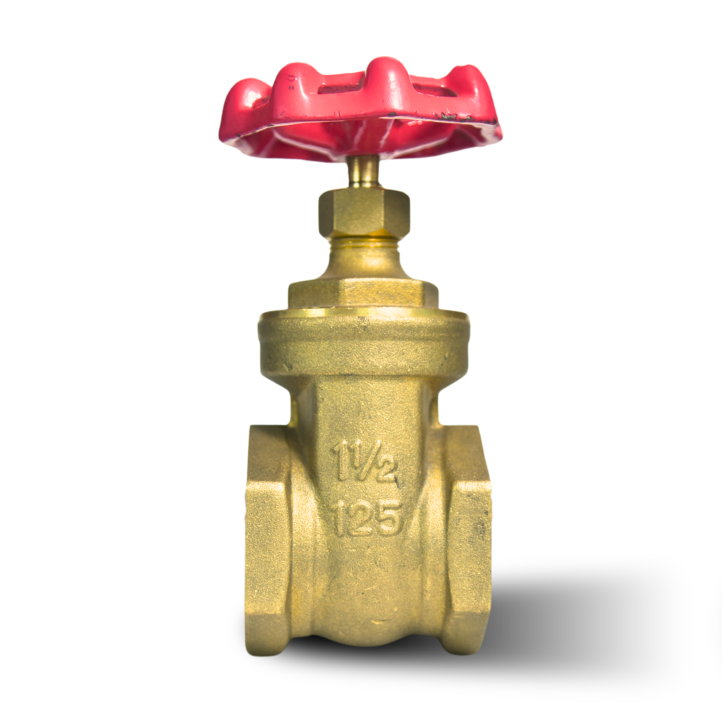 TFE Brass Gate Valve